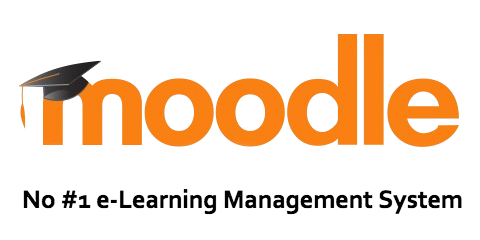 Excellence award badge